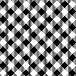 Black & White Bias Buffalo Check by Priscilla Blain for Henry Glass