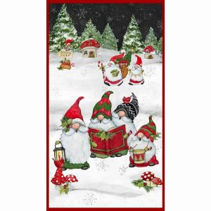 Baby It's Gnomes Outside