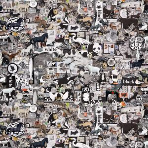 Color Collage II Black Collage