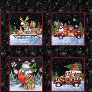 Snow Dog Express Panel by Geoff Allen Studio e