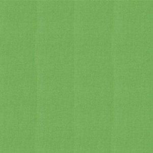 Moda Bella Kelly Green