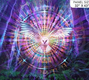 Night Vision Owl Panel