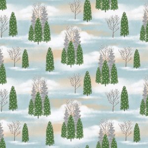 Studio e Snowman's Dream Winter Scenery