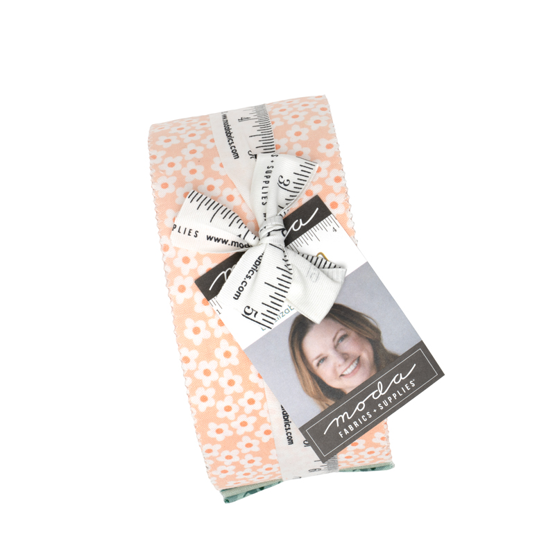 Popcorn Jelly Roll by Elizabeth Hartman for Moda PREORDER-NOV 2026