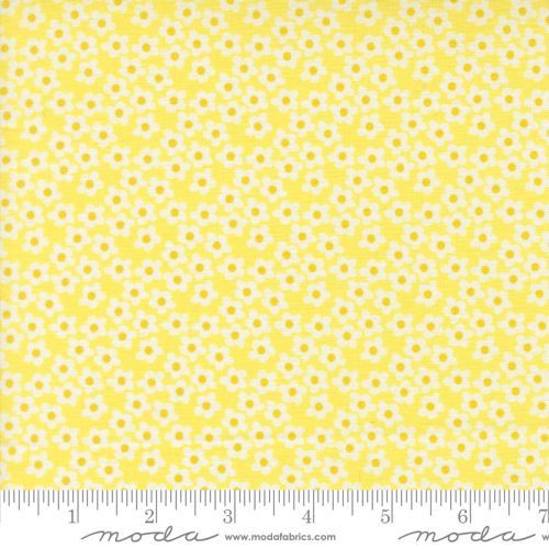 Popcorn Flowers Small Sunshine by Elizabeth Hartman for Moda PREORDER-Nov 2026