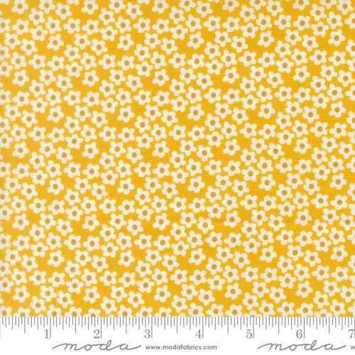 Popcorn Flowers Small Orange by Elizabeth Hartman for Moda PREORDER-Nov 2026