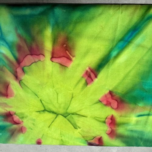 Moda Color Crush Green and Red Batik